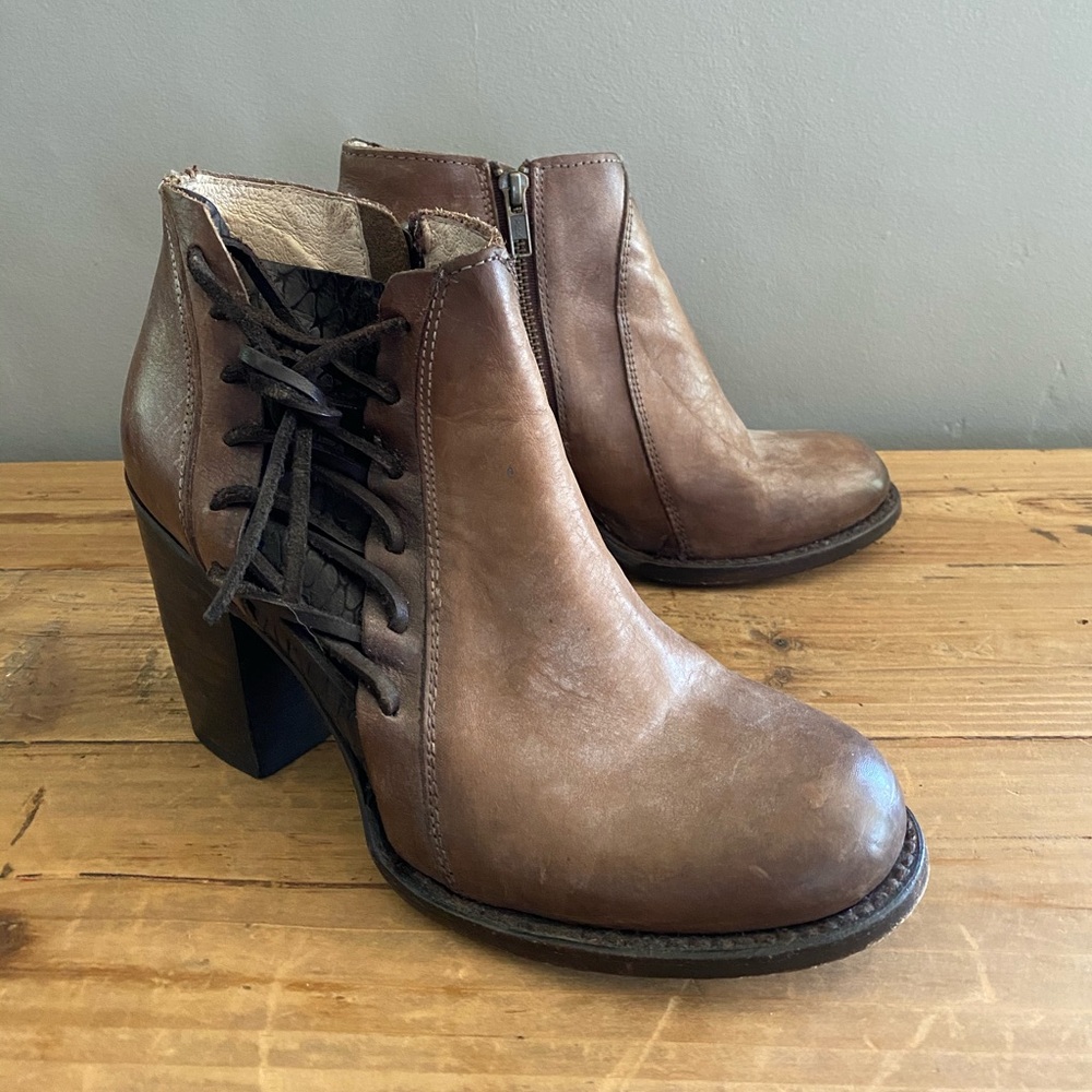 Freebird by Steven Bootie